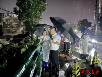 鱼岳镇众志成城筑牢防汛安全网