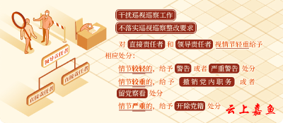 【党纪学习教育·每日一课】对干扰巡视巡察工作的处分规定有哪些？