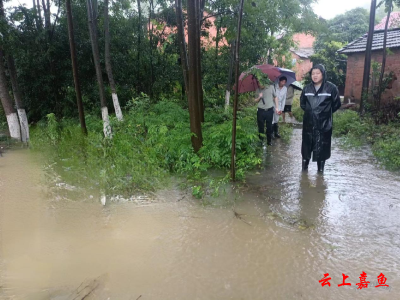 高铁岭镇临江村积极应对暴雨天气入户慰问暖民心