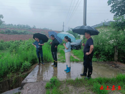 嘉鱼：暴雨中的巾帼红