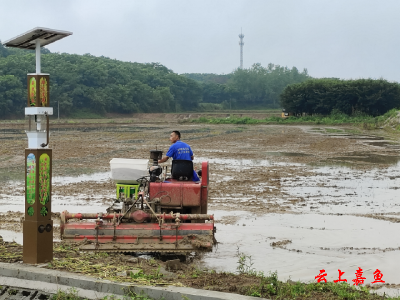 官桥镇：抢抓时机 做好防汛“后半篇文章”