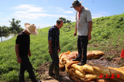 陆溪镇虎山圩堤：不畏“烤”验 “汗”卫人民群众安全