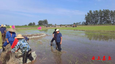 【最美防汛人】熊自亮：三十余年如一日 簰洲湾堤上的前置“防汛专家”