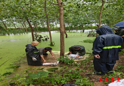 闻汛而动！东街社区成功处置一处管涌险情