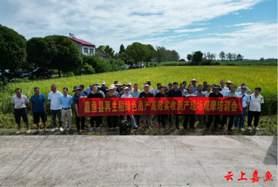 嘉鱼县成功举办2024年再生稻实收测产现场观摩培训会