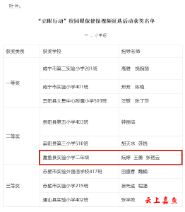 县实验小学在咸宁市“亮眼行动”校园眼保健操征选活动中喜获二等奖