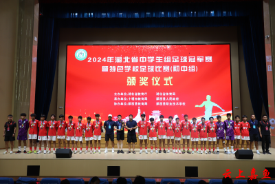 嘉鱼县实验中学男子足球队勇夺湖北省中学生组足球冠军赛第三名