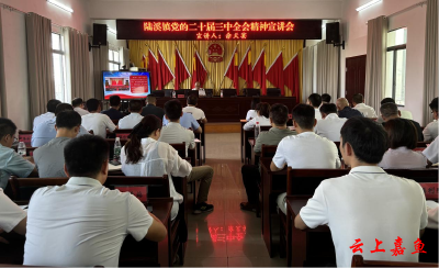 陆溪镇召开学习贯彻党的二十届三中全会精神宣讲会