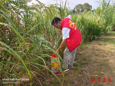 嘉鱼：绿色生态迎中秋 环湖洁湖在行动