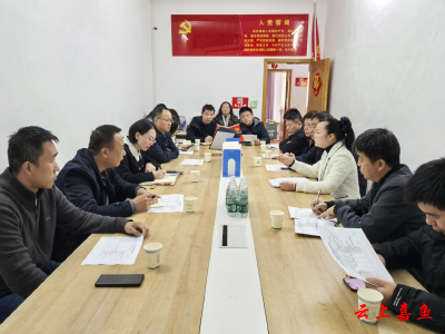 县领导深入鱼岳镇小湖社区调研城市品质提升工作