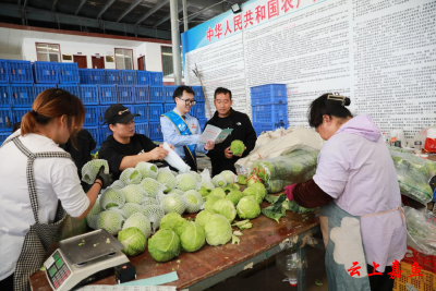 嘉鱼以税惠农乡村振兴焕新颜