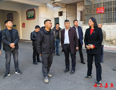 县领导调研督导城市品质提升工作