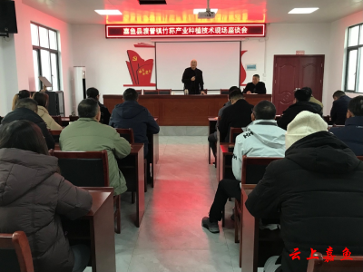 渡普镇举办竹荪产业种植技术培训会