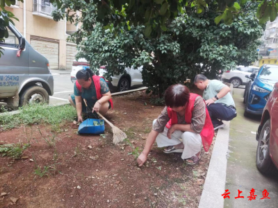 【我为群众办实事】鱼岳镇社区楼栋长：平凡微光，点亮万家灯火