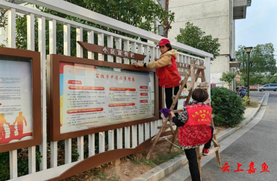 鱼岳镇东街社区：“娘子军”披战袍为城市文明“上分”