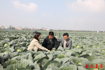 嘉鱼：靶向监督为蔬菜产业发展添加“廉动力”