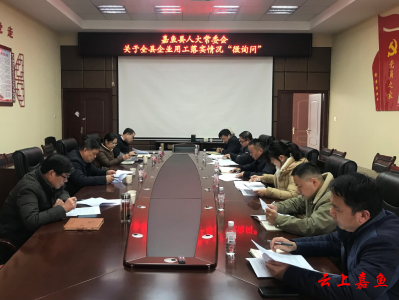 嘉鱼县人大常委会开展全县企业用工情况“微询问”
