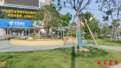 【新春走基层】2024年建成20个口袋公园嘉鱼让市民享受绿色福利