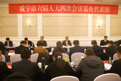 市领导参加咸宁市六届人大四次会议嘉鱼代表团分团审议