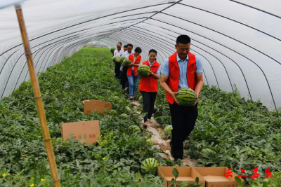 簰洲湾镇：支部领办合作社走稳强村富民振兴路