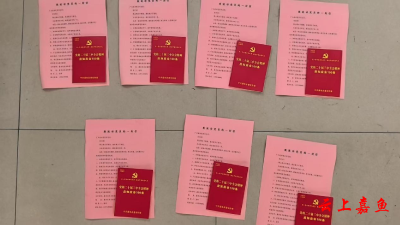 鱼岳镇南门湖村心系流动党员 寄送学习资料助力理论学习