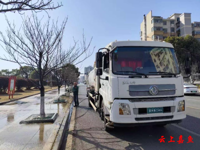 县园林局严阵以待打好苗木防寒“保卫战”