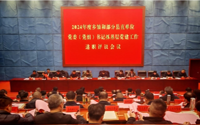 2024年度乡镇和部分县直单位党委（党组）书记抓基层党建工作述职评议会议召开