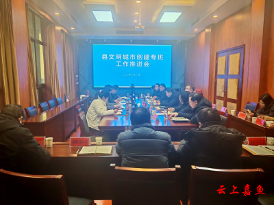 县文明城市创建专班召开工作推进会