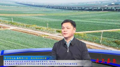 嘉鱼县政府党组成员 副县长 潘家湾镇党委书记周湘波：聚力建支点 争当排头兵 在建设武汉都市圈绿色发展先行示范区中展现潘湾担当