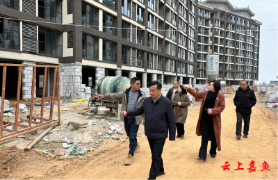 县领导到陆溪镇调研节后文旅项目复工复产工作