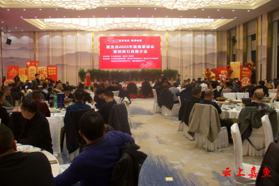 嘉鱼县举行2025年新春联谊会暨招商引资推介会