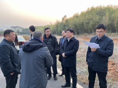 王永赴官桥镇调研项目建设时强调：加大要素保障力度，全力推动项目建设提速增效