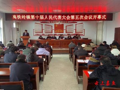 高铁岭镇第十届人民代表大会第五次会议召开