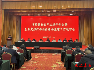 【落实全县三级干部大会精神】官桥镇：奋力开启建设百亿乡镇新征程 为强化支点建设贡献官桥担当