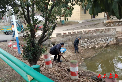 陆溪镇邱家湾村开展环境卫生大扫除活动