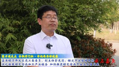 嘉鱼经济开发区党工委委员、副主任彭克清：  锚定产业倍增目标   深化拓展绿色食品加工产业链条  加快推进绿色食品产业高质量发展