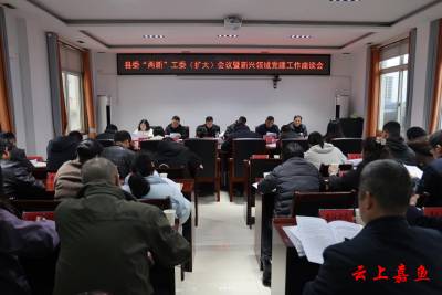 县委“两新”工委（扩大）会议暨新兴领域党建工作座谈会召开