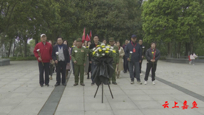 鱼岳镇西街社区开展“缅怀革命先烈弘扬爱国精神”清明祭扫活动