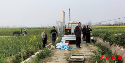 陆溪镇启动油菜“一促四防”行动，为春季油菜生产保驾护航