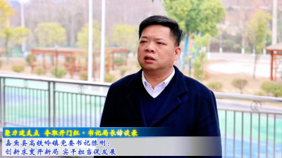 嘉鱼县高铁岭镇党委书记陈刚：创新求变开新局 实干担当促发展