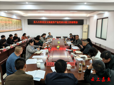 县人大常委会文旅康养产业代表小组工作部署会召开