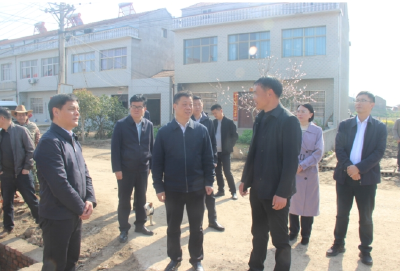 王永调研潘家湾镇党建引领基层治理整镇推进工作时强调：加快构建党建引领基层治理新格局，不断提升基层治理体系和治理能力现代化水平