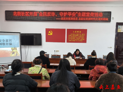 鱼岳镇北街社区开展“全民反诈、守护平安”主题宣传活动