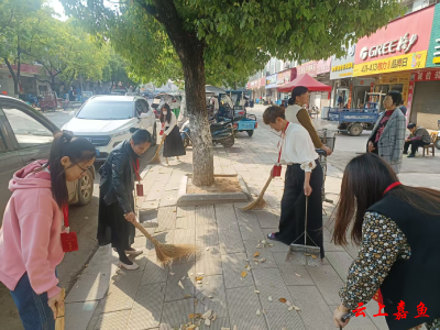 渡普镇人大：扫帚下的老街新韵