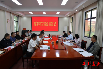 王永在调研高铁岭镇经济社会发展座谈会上强调：明确优势，找准定位，精心招商，全力推动经济社会高质量发展