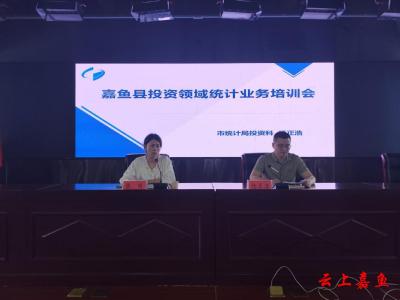 县统计局举办投资领域统计业务培训会