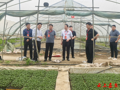 “代表智库”链动三产革新  ——看嘉鱼人大代表如何用履职密码撬动县域产业倍增