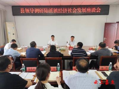 王永调研陆溪镇经济社会发展时强调：以项目攻坚驱动产业升级 奋力绘就乡村振兴“强美富”新画卷