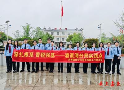 赓续五四薪火·青税强基提能——嘉鱼县税务局开展五四青年节主题系列活动   