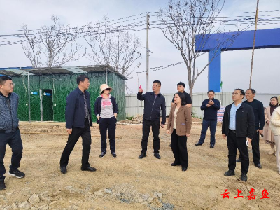 县领导调研重点项目建设